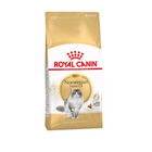Royal Canin Adult Norwegian Forest pienso para gatos, , large image number null